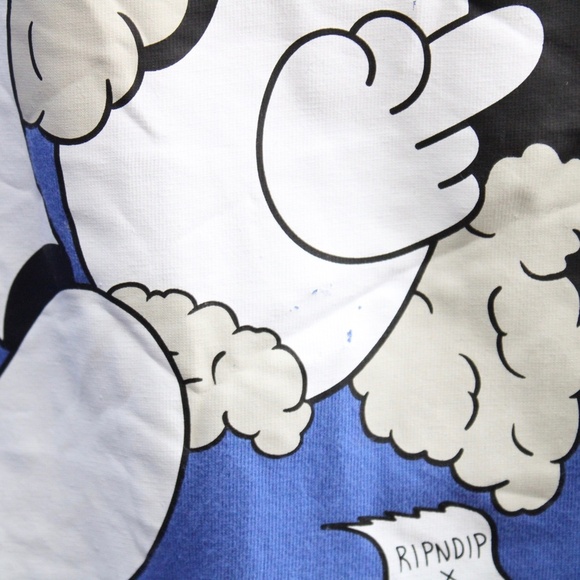 Teddy Fresh x Rip N Dip Colorblock Embroidered Long Sleeve T-Shirt Size Large - Picture 8 of 8